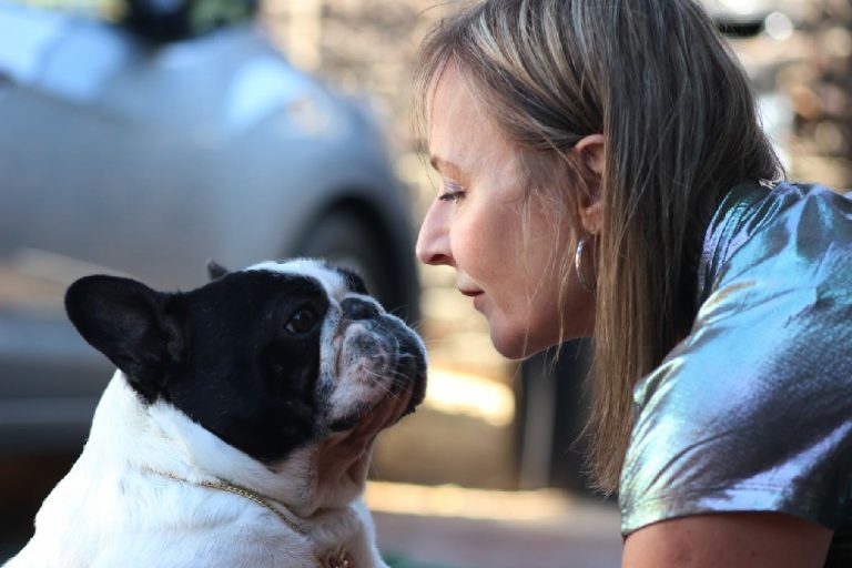 Fredka French Bulldog adult (21)