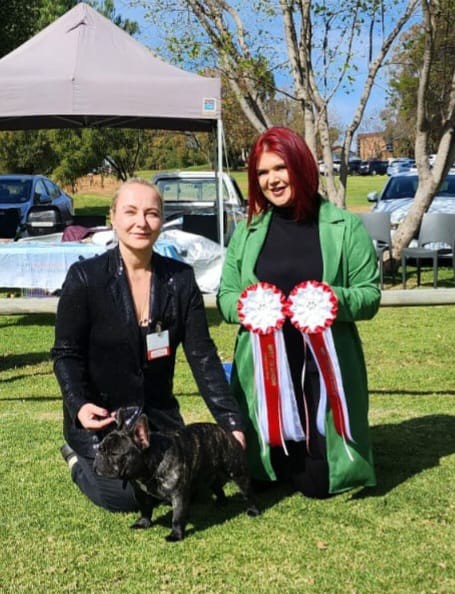 Fredka French Bulldog adult (54)