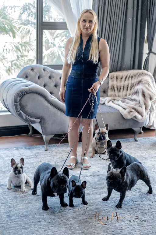 Fredka French Bulldog adult (75)