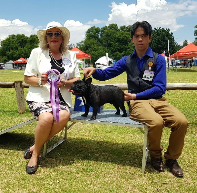 Fredka French Bulldog adult (80)