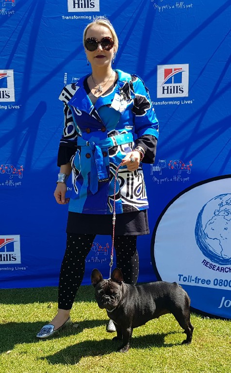 Fredka French Bulldog adult (84)